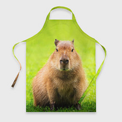 Фартук Capybara on green grass