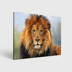 Картина прямоугольная Красавец лев