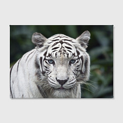 Холст прямоугольный Белый тигр, цвет: 3D-принт — фото 2