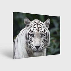 Холст прямоугольный Белый тигр, цвет: 3D-принт