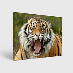 Холст прямоугольный Удивленный тигр, цвет: 3D-принт