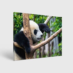Холст прямоугольный Бамбуковый медведь, цвет: 3D-принт