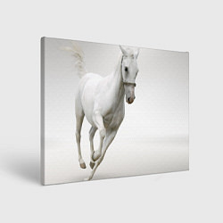 Холст прямоугольный Белый конь, цвет: 3D-принт