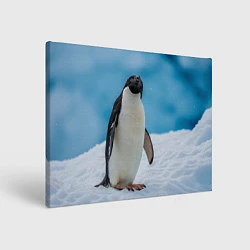 Холст прямоугольный Пингвин на айсберге, цвет: 3D-принт