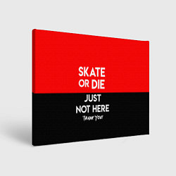 Картина прямоугольная Skate or Die: Just not here