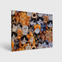 Холст прямоугольный КОТЯТКИ, цвет: 3D-принт