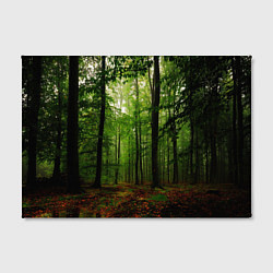 Холст прямоугольный Лес, цвет: 3D-принт — фото 2