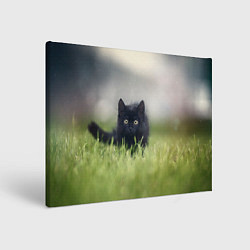Холст прямоугольный Черный кот на лугу, цвет: 3D-принт