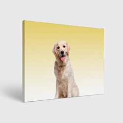 Картина прямоугольная Лабрадор ретривер пес
