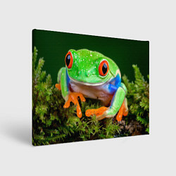 Картина прямоугольная Тропическая лягушка