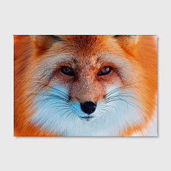 Холст прямоугольный Мордочка лисы, цвет: 3D-принт — фото 2