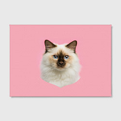 Холст прямоугольный Пушистый кот, цвет: 3D-принт — фото 2