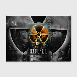 Холст прямоугольный STALKER SHADOW OF CHERNOBYL СТАЛКЕР ТЕНИ ЧЕРНОБЫЛЯ, цвет: 3D-принт — фото 2