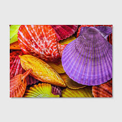 Холст прямоугольный Разноцветные ракушки multicolored seashells, цвет: 3D-принт — фото 2