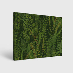 Холст прямоугольный Цветы Зеленые Папоротники, цвет: 3D-принт
