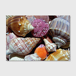Холст прямоугольный Композиция из океанских ракушек, цвет: 3D-принт — фото 2