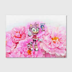 Холст прямоугольный Sonic - Amy Rose - Video game, цвет: 3D-принт — фото 2