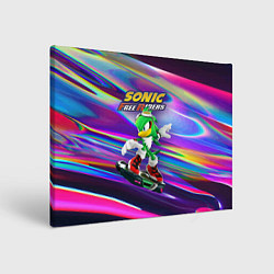Холст прямоугольный Jet-the-hawk - Sonic Free Riders, цвет: 3D-принт