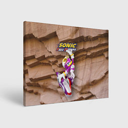 Картина прямоугольная Wave the Swallow - Sonic Free Riders