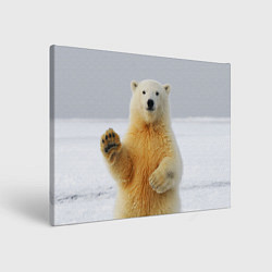 Холст прямоугольный Белый медведь приветствует, цвет: 3D-принт