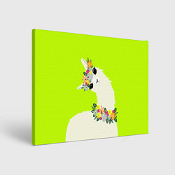 Картина прямоугольная Летняя лама - альпака в венке