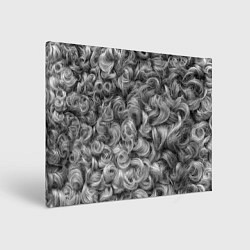 Картина прямоугольная Кудрявая шерсть баранов