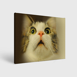 Картина прямоугольная Удивленный кот - мем крупным планом