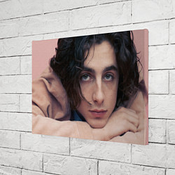 Холст прямоугольный Timothe Chalamet on a pink background, цвет: 3D-принт — фото 2