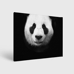 Картина прямоугольная Взгляд панды