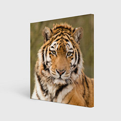 Холст квадратный Милый тигр, цвет: 3D-принт