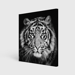 Картина квадратная Мордочка тигра