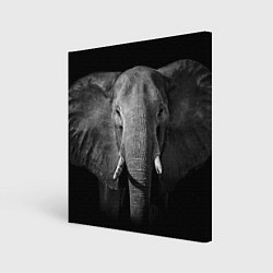 Холст квадратный Взгляд слона, цвет: 3D-принт