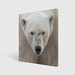 Картина квадратная Белый медведь