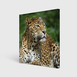 Холст квадратный Лик леопарда, цвет: 3D-принт