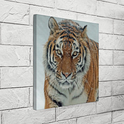 Холст квадратный Тигр в снегу, цвет: 3D-принт — фото 2