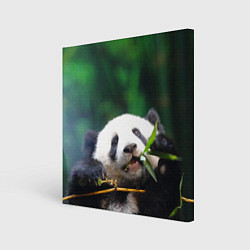 Картина квадратная Панда на ветке
