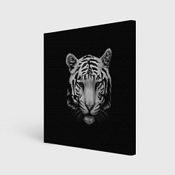 Картина квадратная Серый тигр