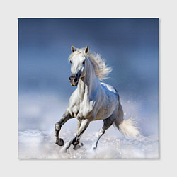Холст квадратный Белая лошадь скачет по снегу, цвет: 3D-принт — фото 2