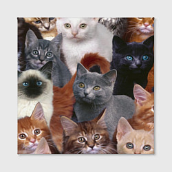 Холст квадратный КОТЯТКИ, цвет: 3D-принт — фото 2