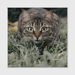 Холст квадратный Кошка, цвет: 3D-принт — фото 2