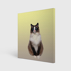 Холст квадратный Персидская пушистая кошка, цвет: 3D-принт