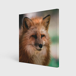 Картина квадратная Строгая лисица