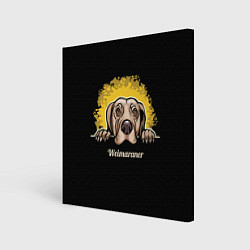 Картина квадратная Веймаранер Weimaraner