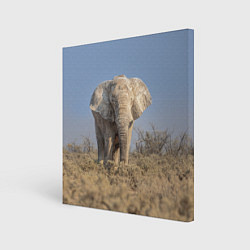 Холст квадратный Африканский белый слон, цвет: 3D-принт