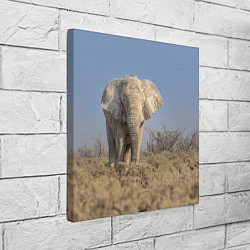 Холст квадратный Африканский белый слон, цвет: 3D-принт — фото 2
