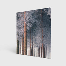 Картина квадратная Зимний еловый лес