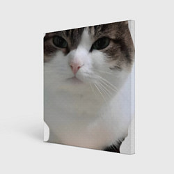 Холст квадратный Wawa cat Oh The Misery Cat, цвет: 3D-принт