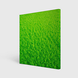 Картина квадратная Трава зеленая