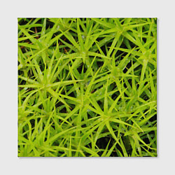Холст квадратный Сфагнум, цвет: 3D-принт — фото 2