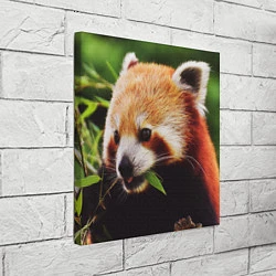 Холст квадратный Красная милая панда, цвет: 3D-принт — фото 2